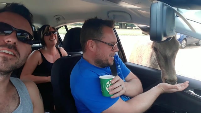 Longleat - 3rd Aug 2018
