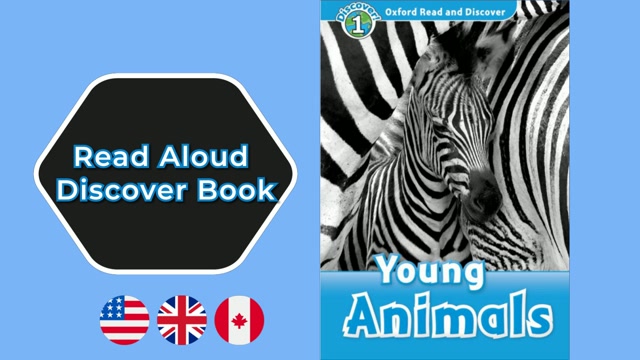 A1 | Young Animals – Oxford Read and Discover | Read Aloud English Books | Discover Book