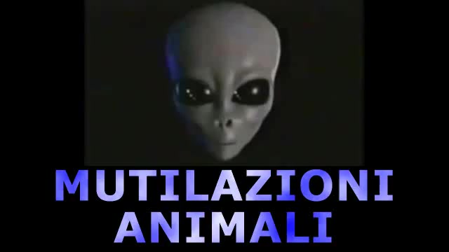 Ufo Dossier X 26 Mutilazioni Animali