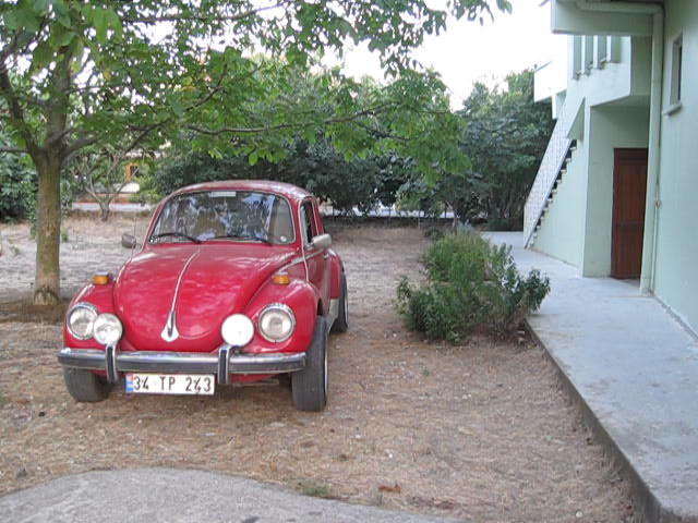 Yeğen 2009