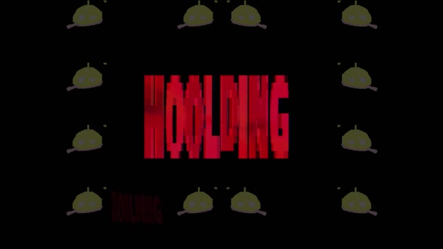 hoolding