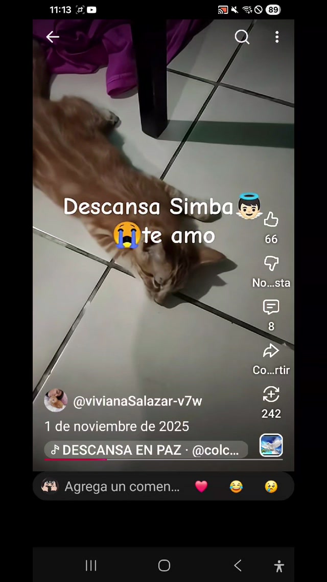 Simba padescansa en paz😢😭🥺🤧