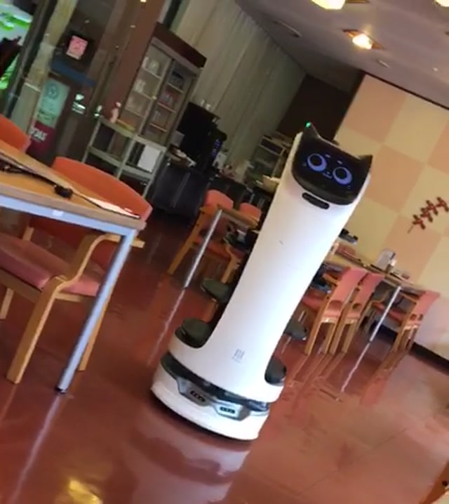 BellaBot