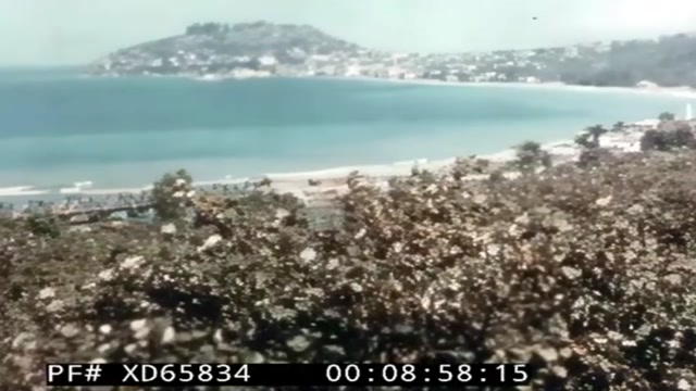 67 Yıl Önce Giresun
