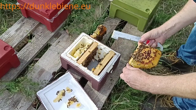 Spätsommerpflege Teil 1
