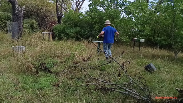 Aus dem Bienengarten Teil 3 - Aufräumen