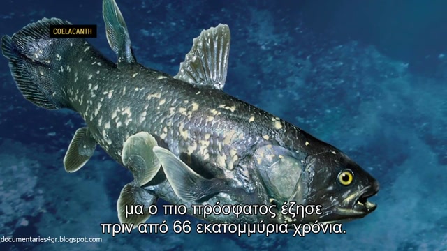 Τα Μεγαλύτερα Μυστήρια της Ιστορίας - Η Αναζήτηση του Κράκεν