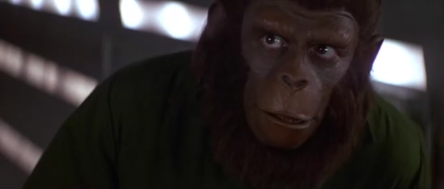 Conquista do Planeta dos Macacos