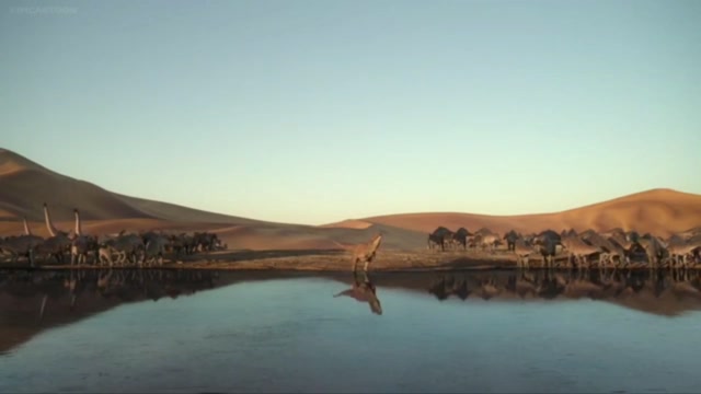 AMV - Dinossauros no deserto