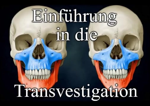 Grundlagen der Transvestigation
