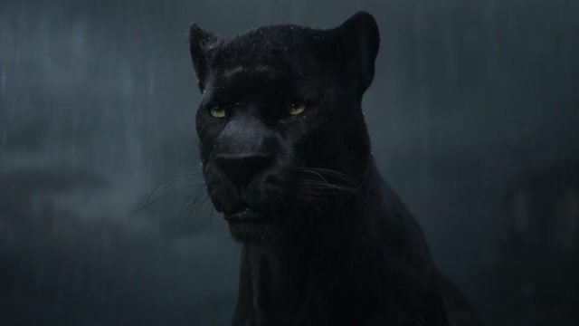 🌟🎬 Книга джунглей 🌿🐅 (2016) 🎥✨