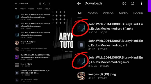 How-to-INSTANTLY-CHANGE-DUAL-Audio-Movie_Media_ON2ccfeilWw_001_1080p