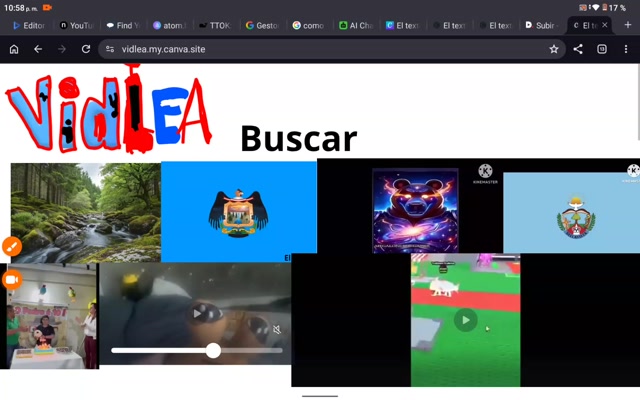 Vidlea! Primer página que hice yo ( página en descripción)