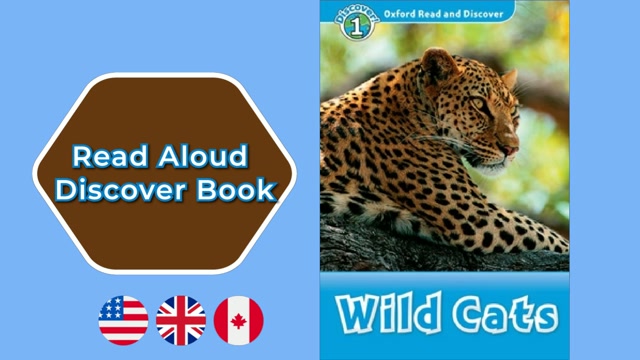 A1 | Wild Cats – Oxford Read and Discover | Read Aloud English Books | Discover Book