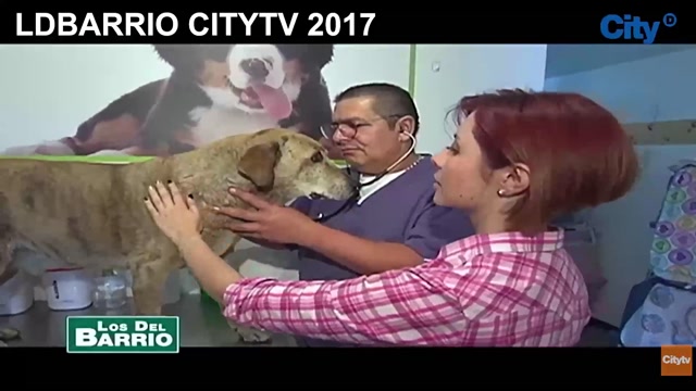 Los del Barrio (2017) - Recorrido Múltiple por Bogotá: 7 de Agosto (Barrios Unidos), Veraguas Central (Puente Aranda), Usaquén Centro (Usaquén) y Primavera (Puenta Aranda) - Primavera (Veterinario Samuel Burbano) - Citytv (Online 2026)