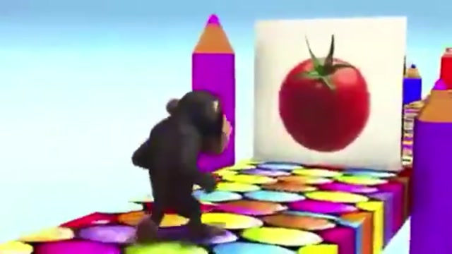Tomato