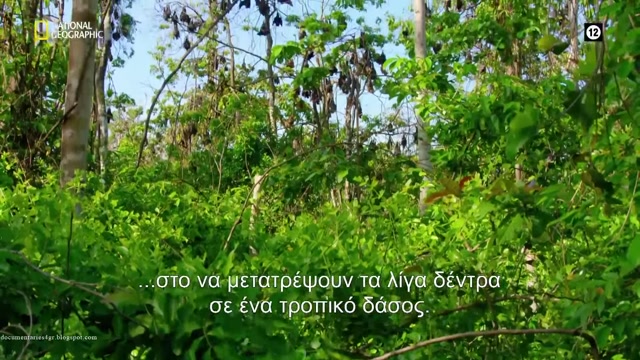 Άγρια, Παράξενα και Υπέροχα (Wild, Weird and Wonderful)