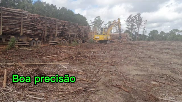 Grua