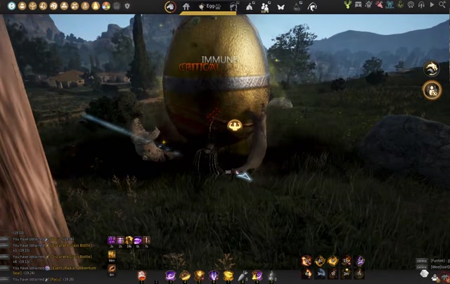 Black Desert Online