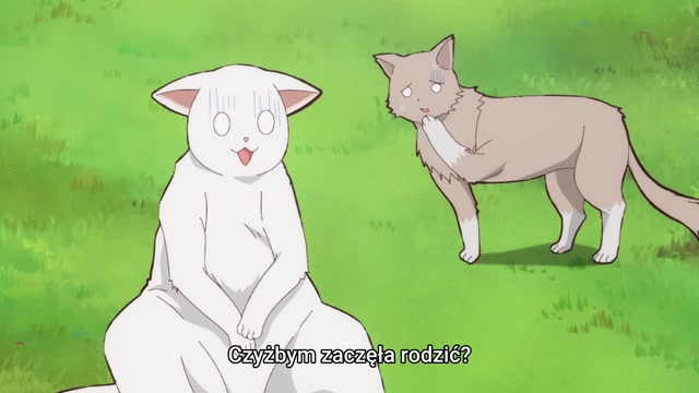 Anime Neko to Ryuu - odcinek 3 (1)