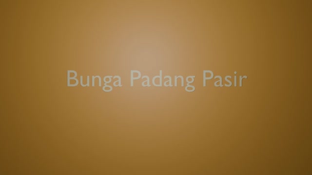 Bunga Padang Pasir