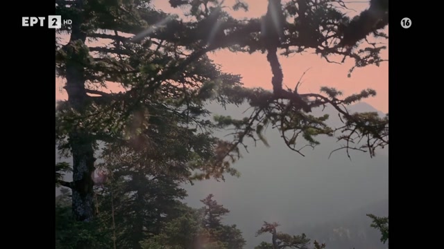 ΕΥΔΟΚΙΑ (1971) {HD}