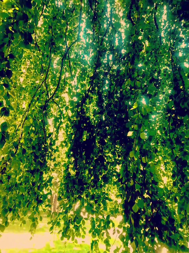 Trash 0000014