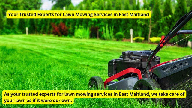 Lawn Mowing East Maitland 