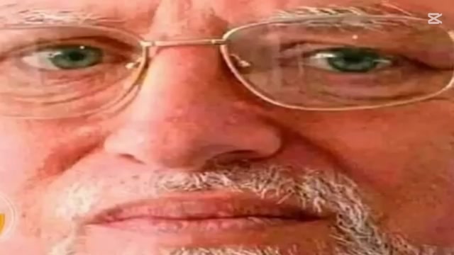 TODOS ODIAN A DANIEL TIGRE