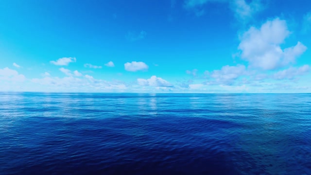 Soul In The Sea