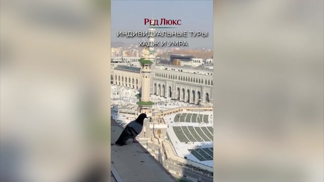 Зачем ты едешь в хадж? Вопросы, которые нужно задать себе.