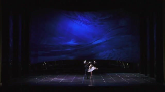 Dima- Lacul lebedelor