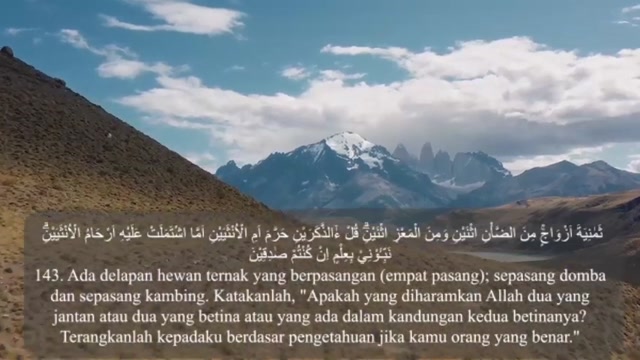 Terjemahan Al Quran Juz 8 Full Bahasa Indonesia