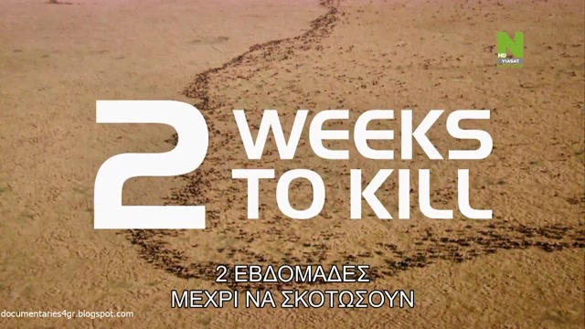Predator Countdown - Africa