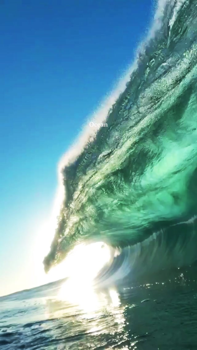 Ocean Trip