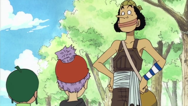 one-piece 9