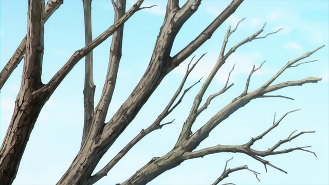 Kujima 04 PL