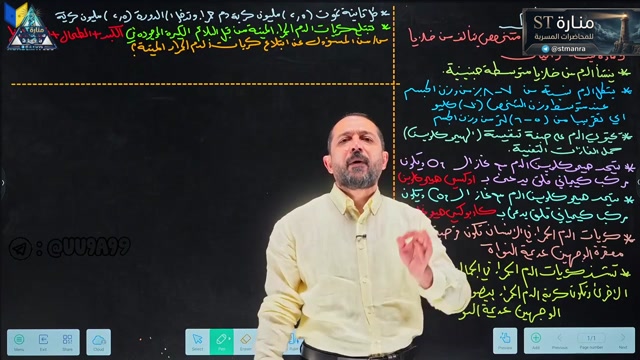 م13