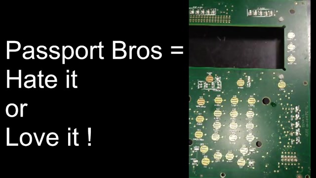 Passport Bros Hate it or Love It
