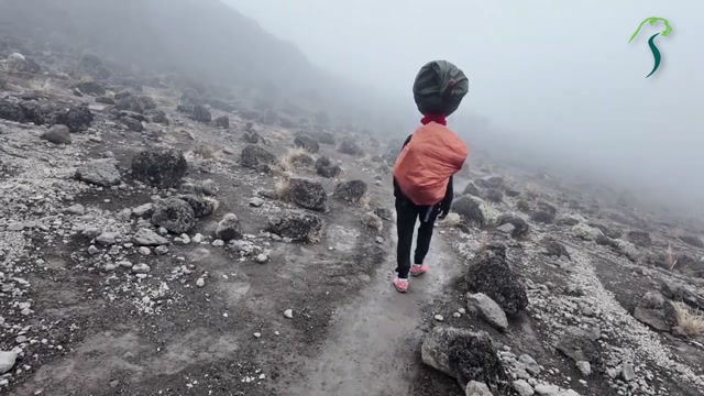 Best Kilimanjaro Climbing Packages For Every Type Of Adventurer