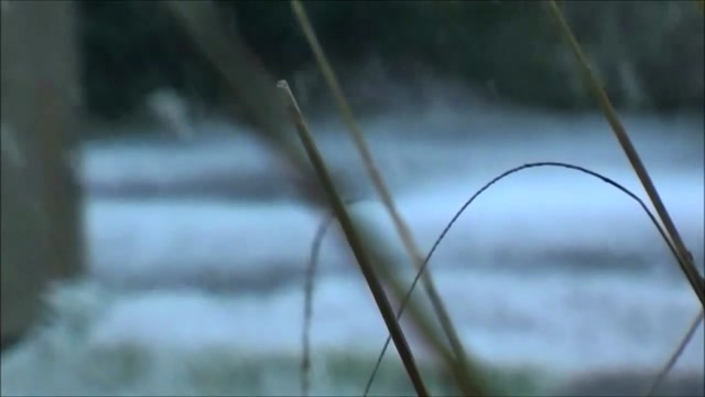 Luther Vandross - A Kiss for Christmas -