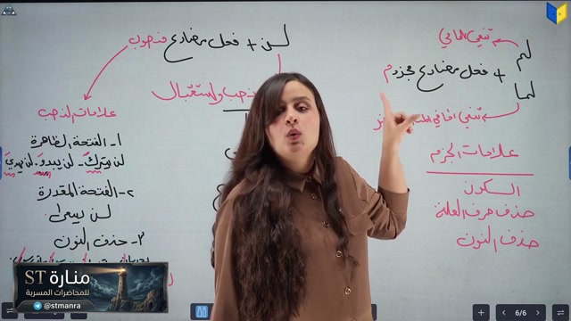 النفي رفل م11
