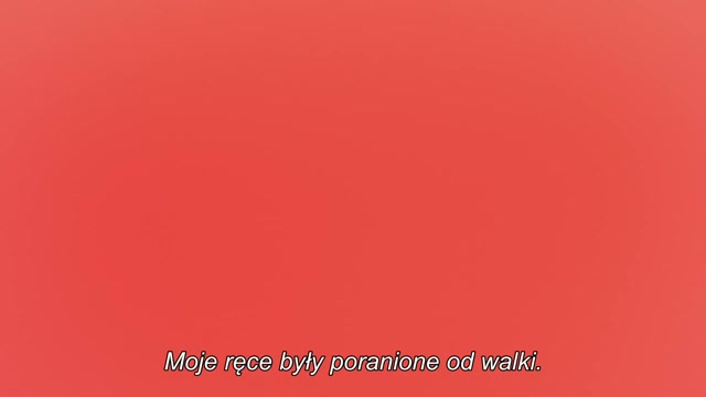 [Dkb] Black Torch - S01e08 [1080P][Hevc X265 10Bit][Dual Audio][Multi-Subs][A62555e0] (1) - Lulustream.mp4