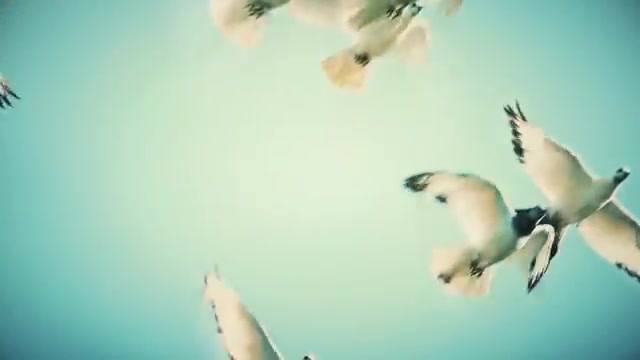 Sarah -  Hym