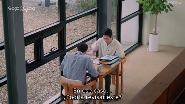 Check 5 Español