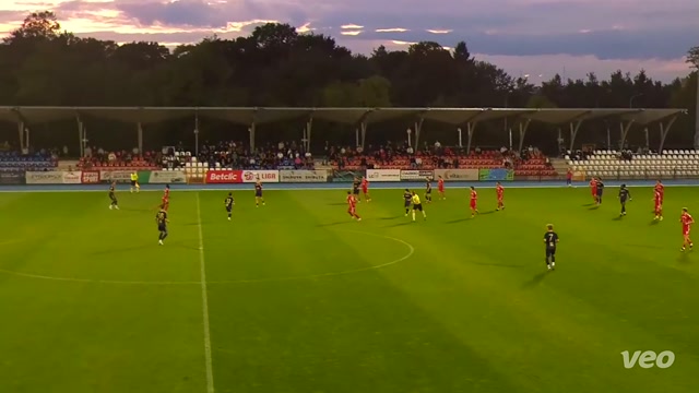 Dziedzinski vs Nysa