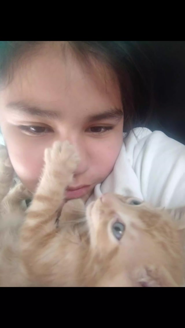 Simba padescansa en paz😢😭🥺🤧