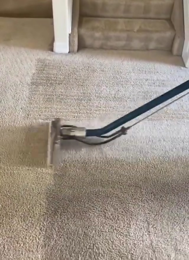 Expert Carpet Cleaning Techniques for Homes and Businesses