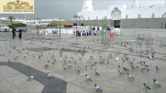 Al Quba Mosque KSA - Umrah Packages from Dubai - Dubaiumrah.com