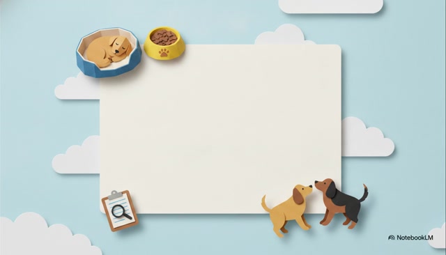 Dog Boarding Auckland - Safe & Comfortable Overnight Dog Care